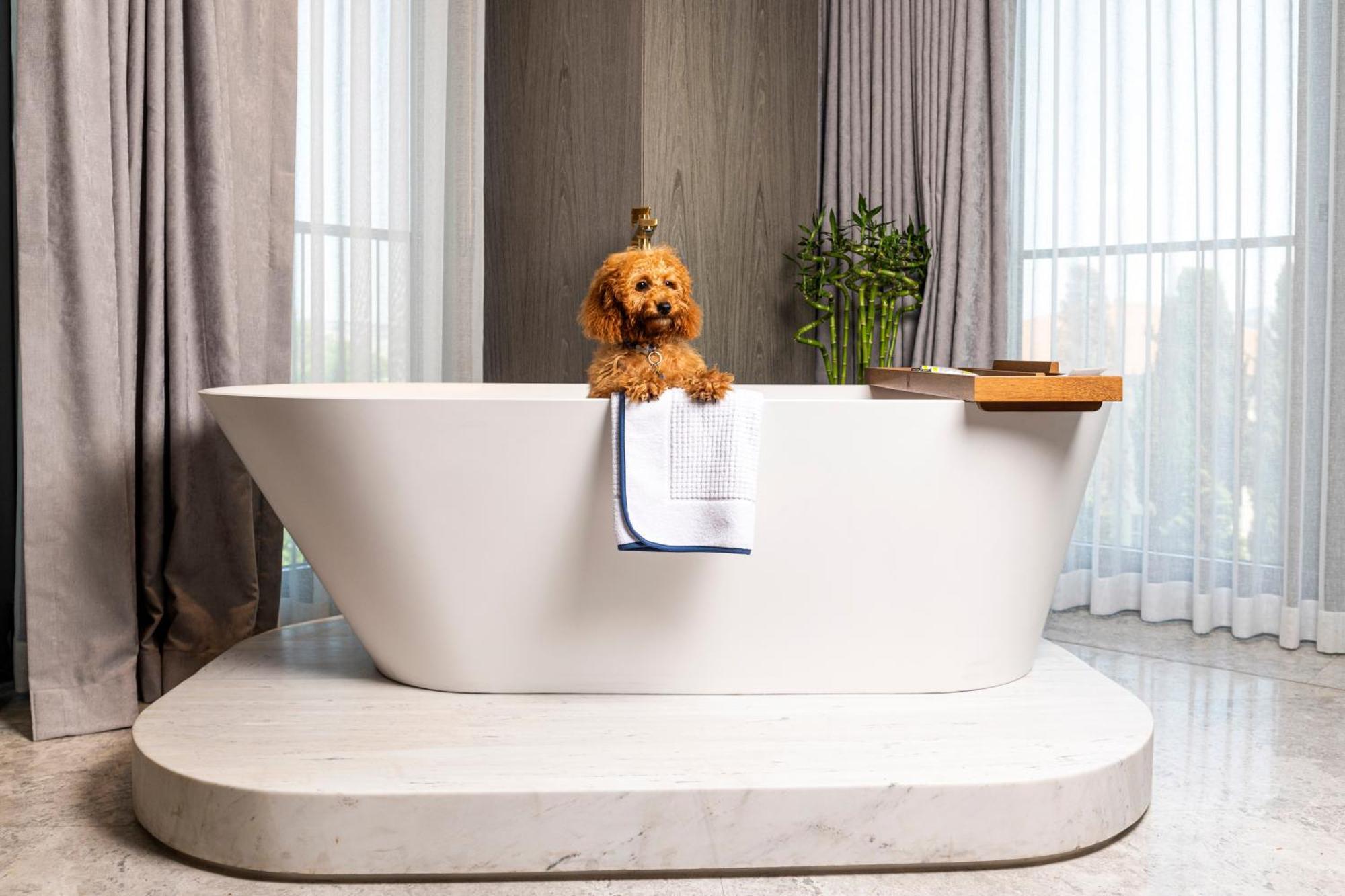 The Maestro Hotel Istanbul Ngoại thất bức ảnh